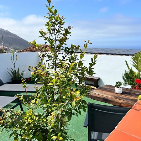 The Little Brezo Stone Home Tenerife Los Realejos Bagian luar foto