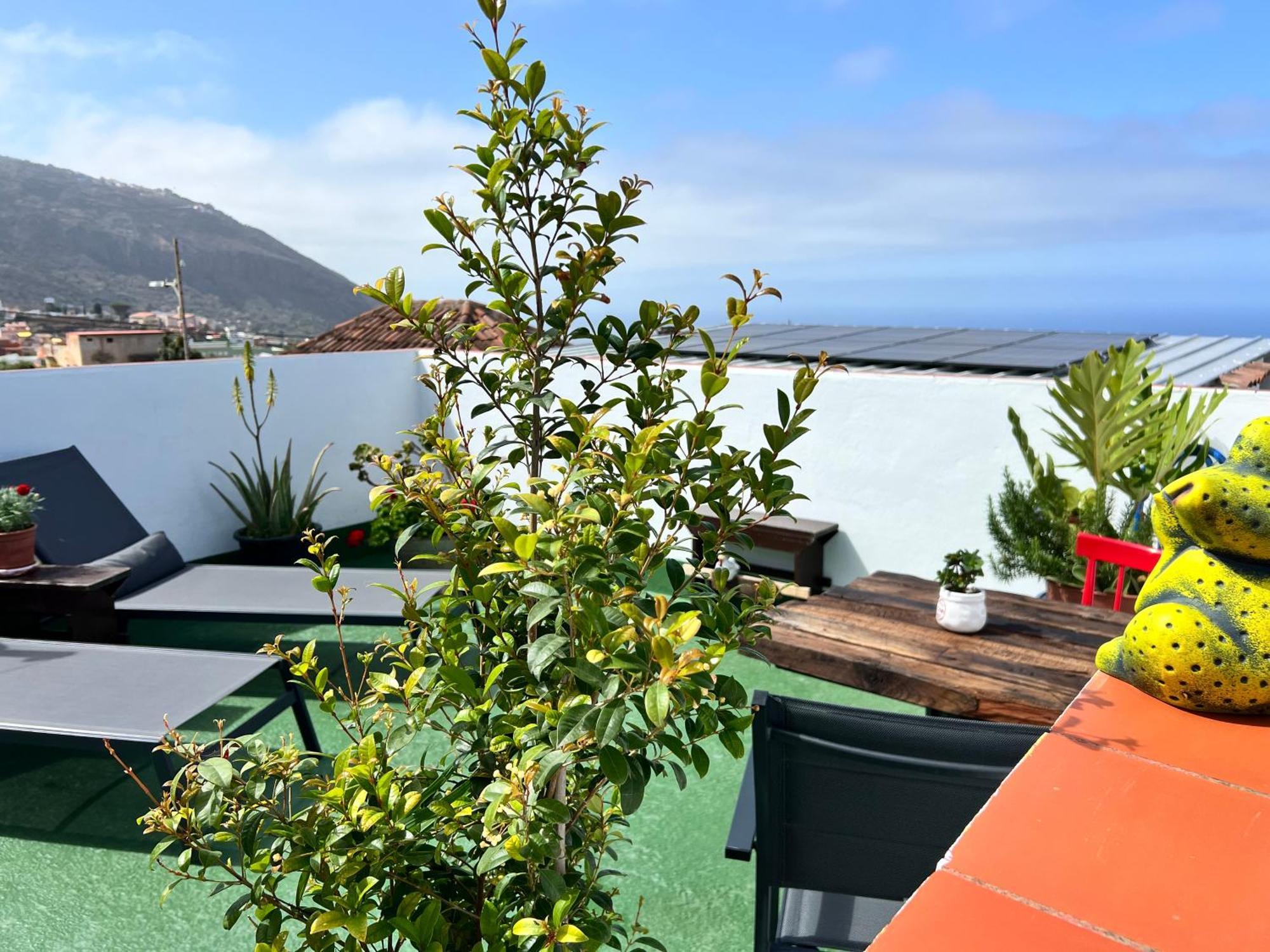 The Little Brezo Stone Home Tenerife Los Realejos Bagian luar foto